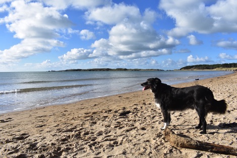 Newborough Beach, Anglesey